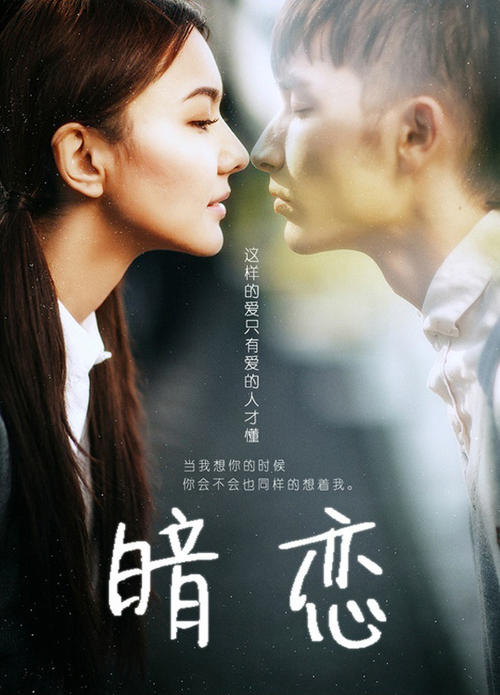 Xinglin大学毕业证